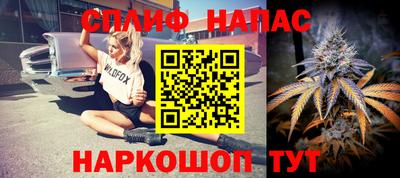 шишки Берёзовский