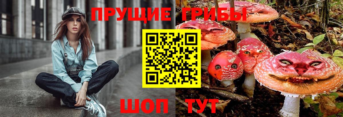 Ишимбай  Псилоцибиновые грибы прущие грибы  Галлюциногенные грибы мухоморы  Вход с VPN 